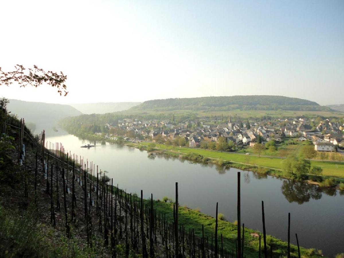 Wein & Wohngut Paulushof Hotell Pünderich Eksteriør bilde